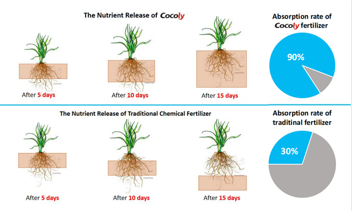 cocoly fertilizer 3.jpg