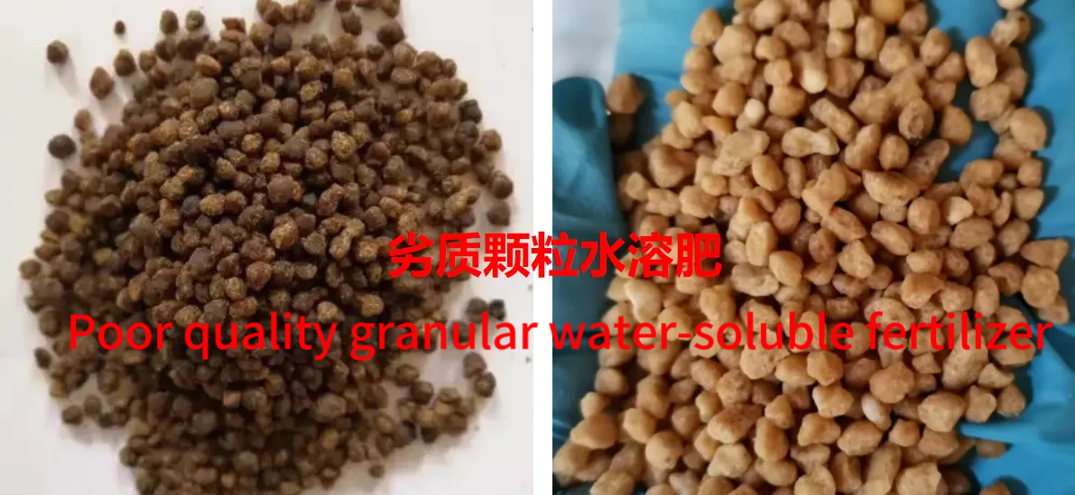微信图片_20250314103058.jpg