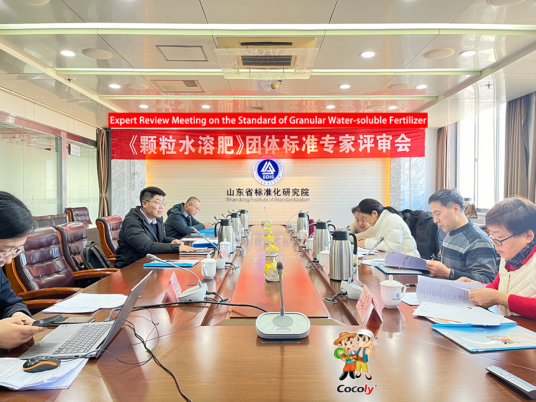 梦想兄弟  cc.jpg
