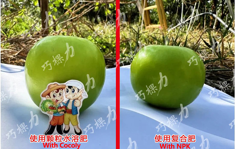 正确5.jpg