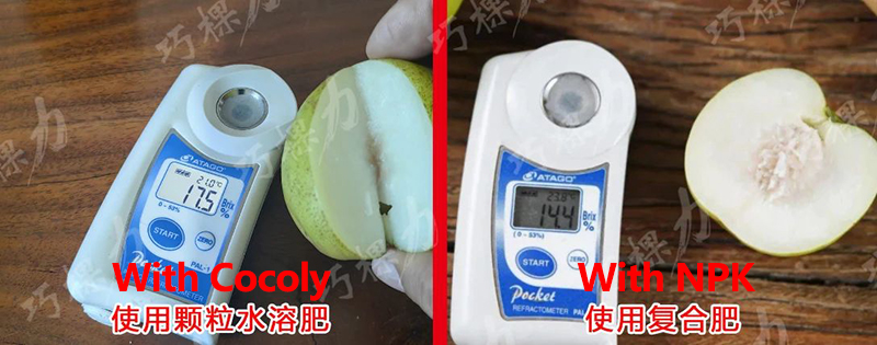 正确4.jpg