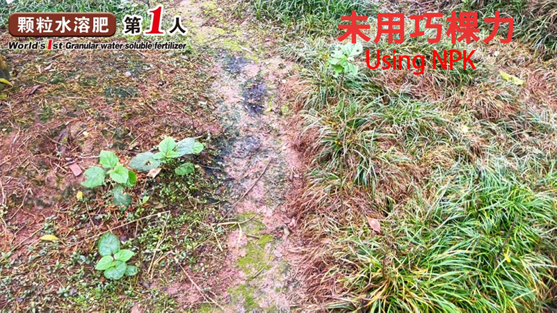 正确using npk.jpg
