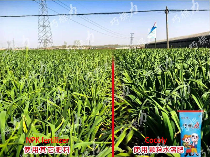 导出13.jpg